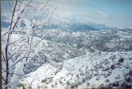 TASSAFT, MON VILLAGE